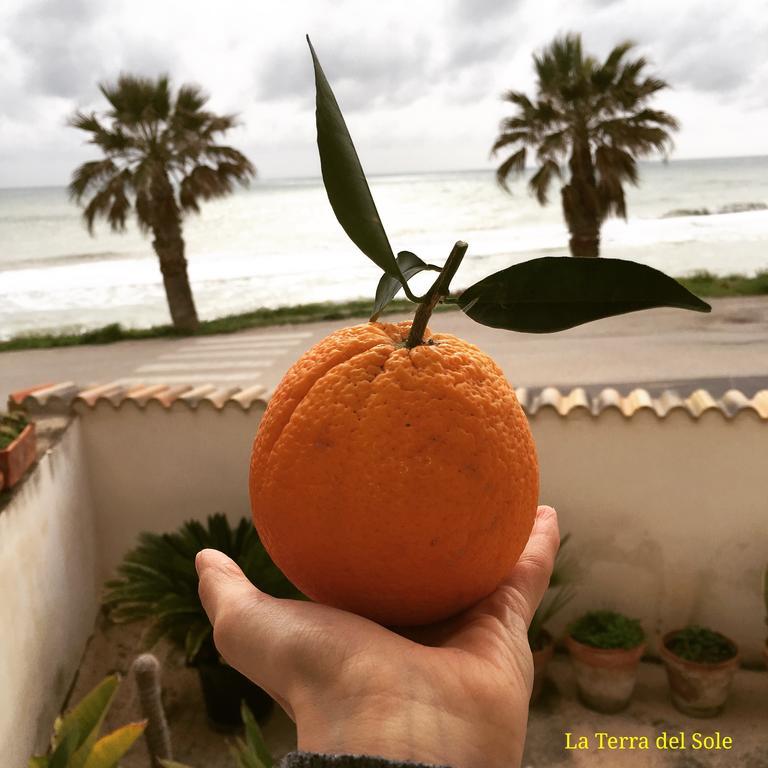 Terra Del Sole Ribera Daire Dış mekan fotoğraf